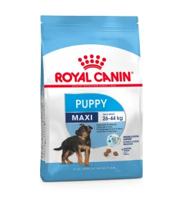 Maxi Puppy